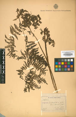 LE 01009289