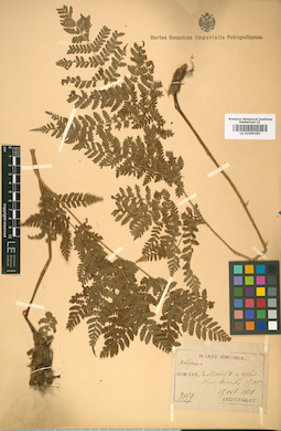 LE 01009290