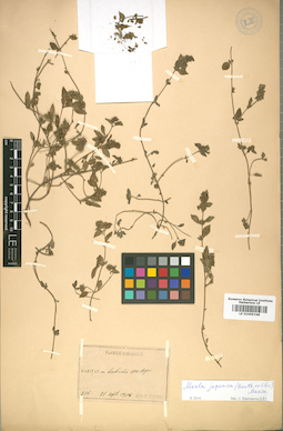 LE 01009348