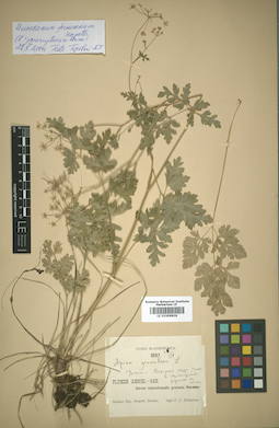 LE 01009836