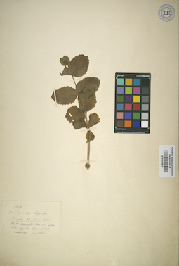 LE 01013570