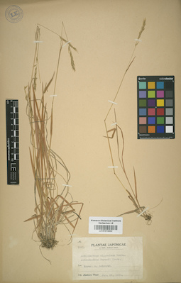 LE 01015502
