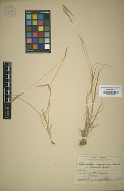 LE 01015503
