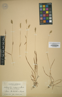 LE 01015504