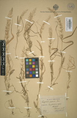 LE 01015507