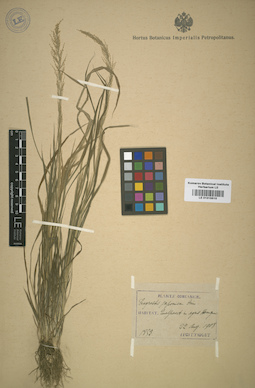 LE 01015510