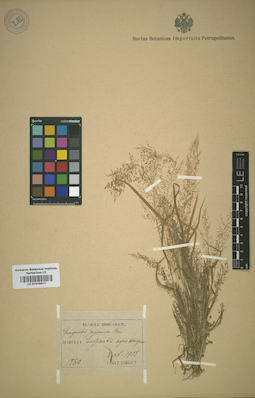 LE 01015511