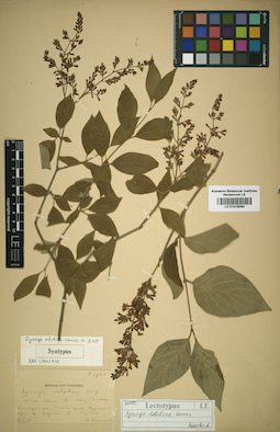 LE 01016090