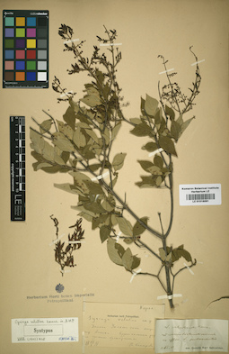 LE 01016091