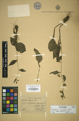 LE 01017142