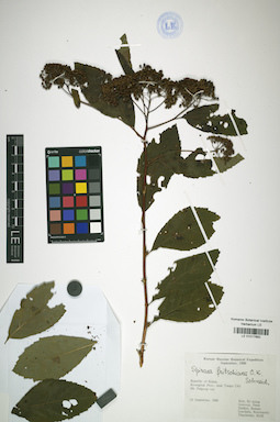 LE 01017892