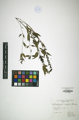 LE 01017898