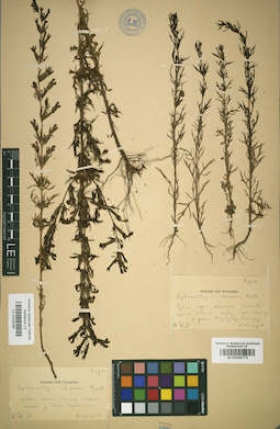 LE 01025065
