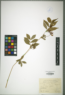 LE 01025785