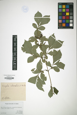 LE 01026819