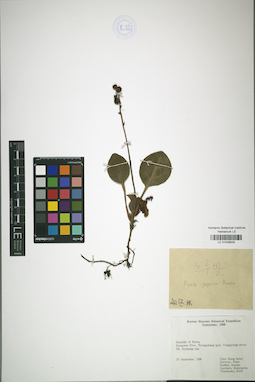 LE 01026829