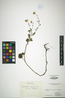 LE 01026837
