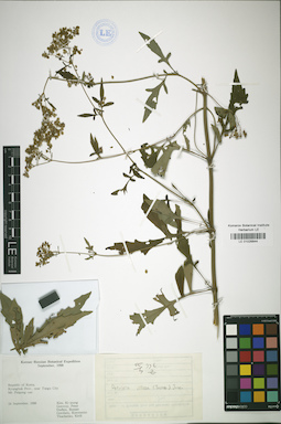 LE 01026844