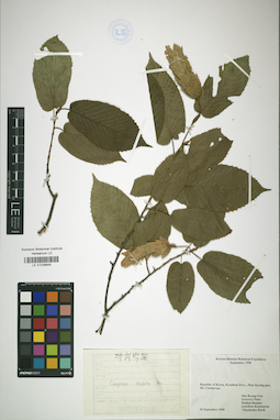 LE 01026849