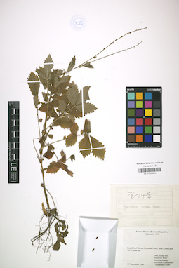 LE 01026850