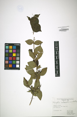 LE 01026853