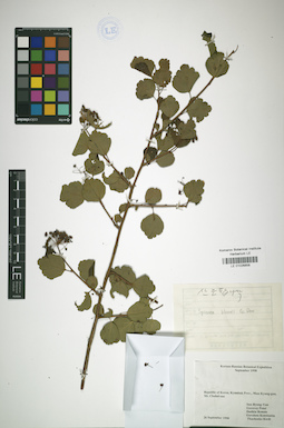LE 01026858