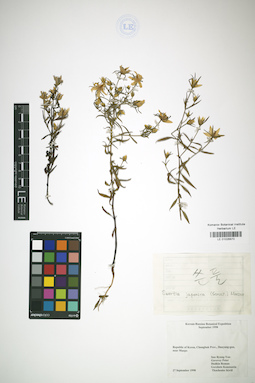 LE 01026870