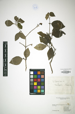 LE 01026878