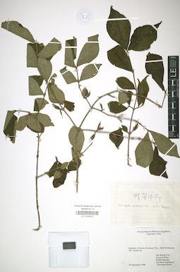 LE 01026892