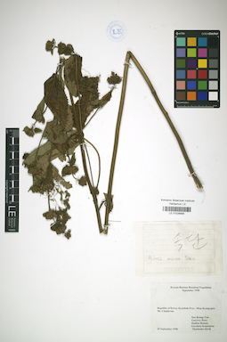 LE 01026895