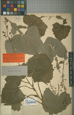 LE 01071930