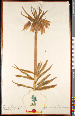 LE 01091015
