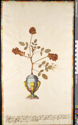 LE 01091018