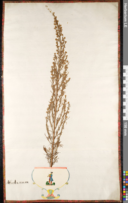 LE 01091025
