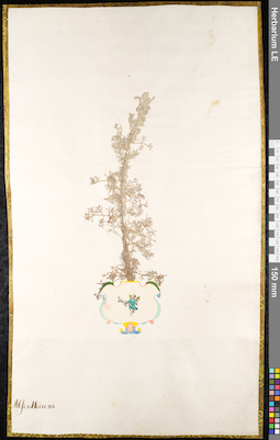 LE 01091032
