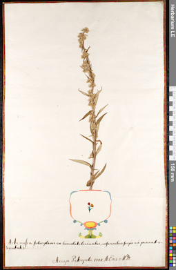 LE 01091037