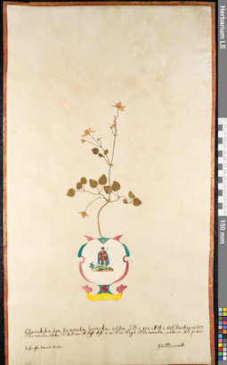 LE 01091050