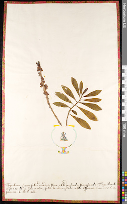 LE 01091073
