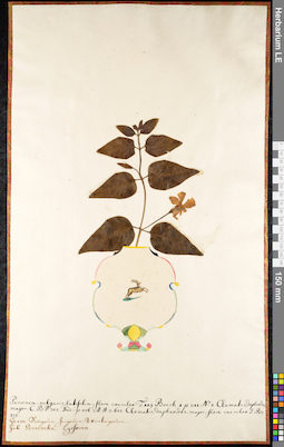 LE 01091240