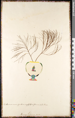 LE 01091251