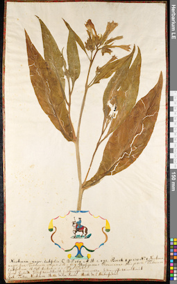 LE 01091261