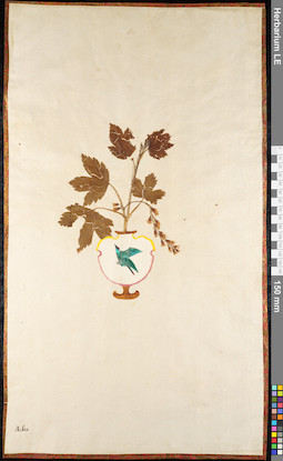 LE 01091278