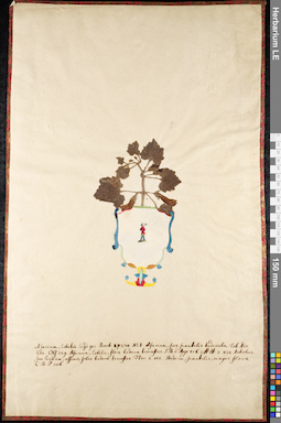 LE 01091299