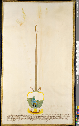 LE 01091302