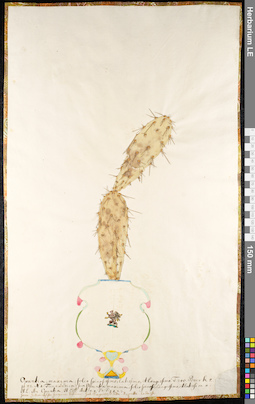 LE 01091305