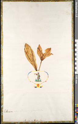 LE 01091382