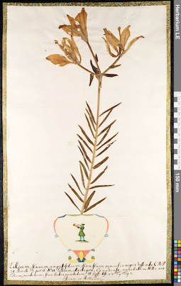 LE 01091385