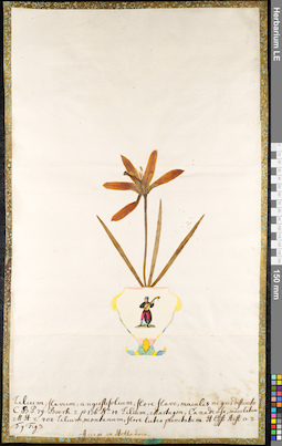 LE 01091388