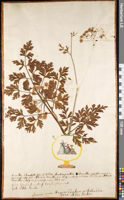 LE 01091750