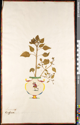 LE 01091766